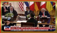 2025-08-18 at 8.29.21.jpeg